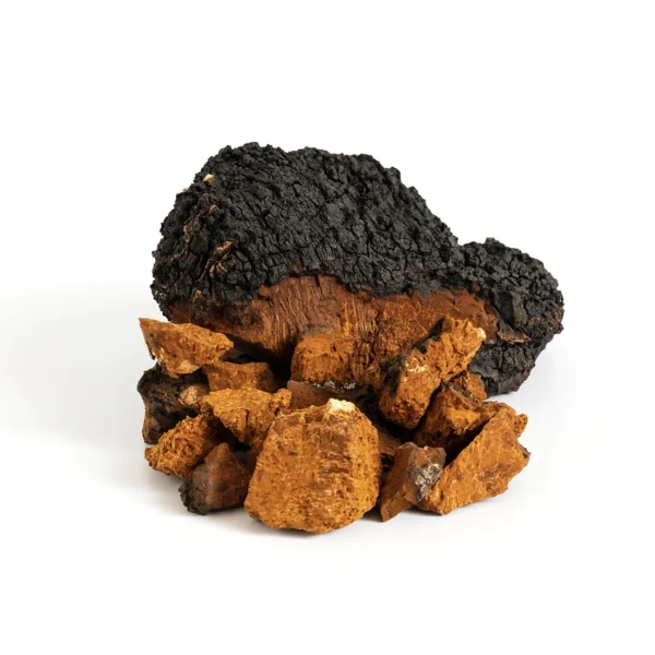 Chaga